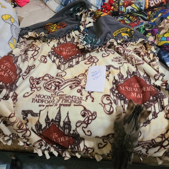 Disney inspired throws